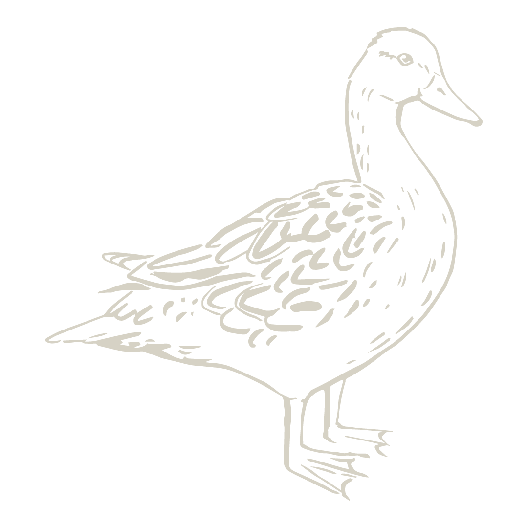 Dessin d'un canard pour le restaurant sur la tete des canard, restaurant à lourdes Dessin d'un canard pour le restaurant sur la tete des canard, restaurant à lourdes